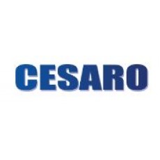 Fiat Cesaro