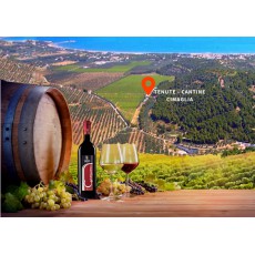 Aziende Agricole Tenute Cantine Cimaglia