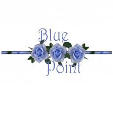 Blue Point Agenzia di traduzioni e interpretariato