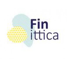Finittica