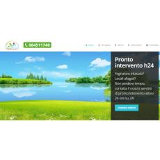 Autospurgo Roma